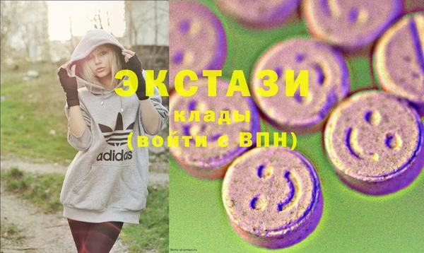 мдпв Богородск