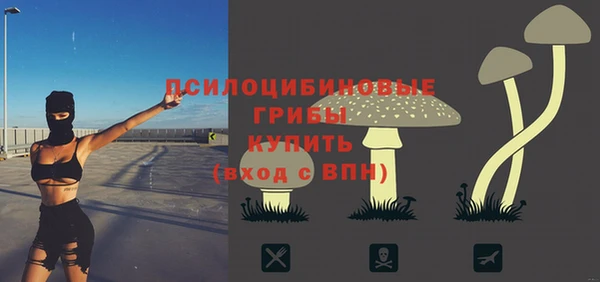 мдпв Богородск