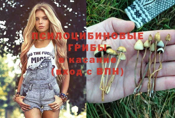 MDMA Premium VHQ Бородино