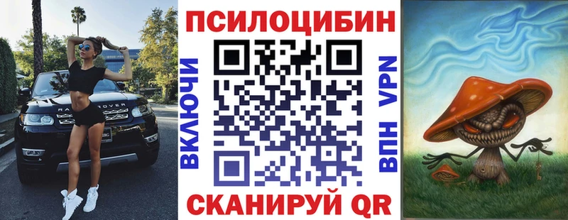 купить наркоту  Хасавюрт  OMG ссылка  Галлюциногенные грибы Psilocybine cubensis 
